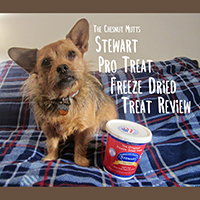 stewart pro treat freeze dried treat review