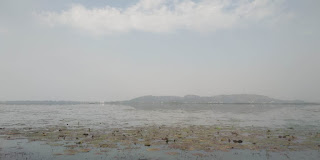 The magnificent landscape of The Deepor Beel, Guwahati 
