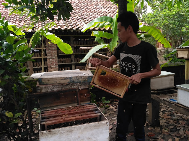 Kisah Dewa Madu Asal Kudus Sempat Gulung Tikar Dan Jadi Kuli
