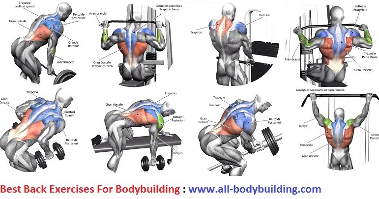 Best Back Exercises The True Fact Or Wrong Or A Bit Of Both Health