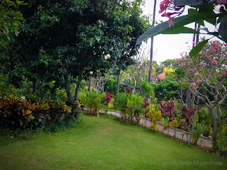 Fresh And Beauty Atmosphere Of The Public Garden With Sweet Plants And Flowers At The Village Tangguwisia North Bali Indonesia