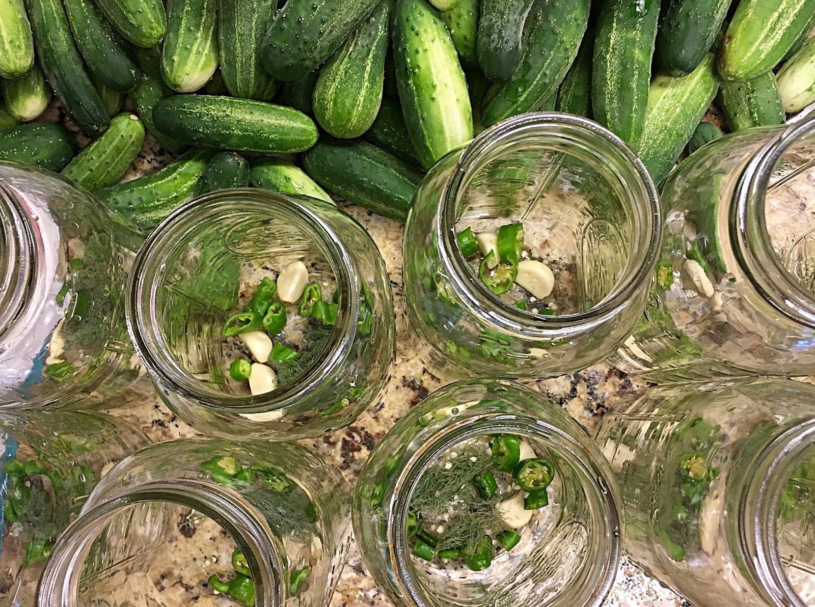 Country Mama To Many Easy Kosher Dill Pickles