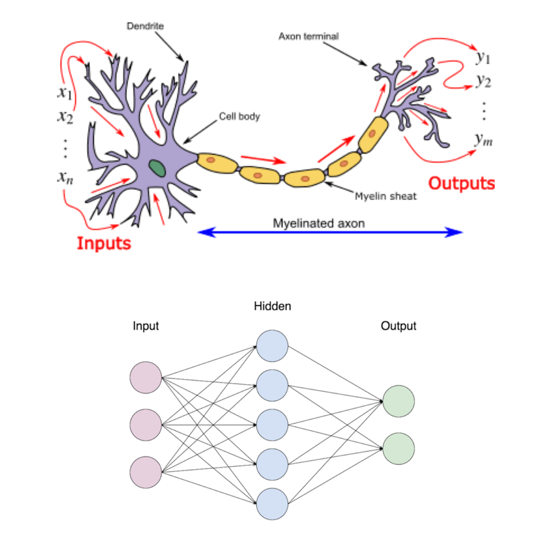 Artificial Neural Network With An Input Layer With Three Neurons One Images