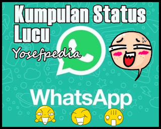 Status WA ( whatsapp ) Lucu 