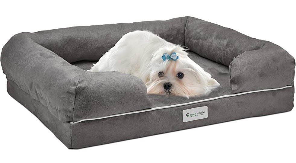 Free Dog Bed Free Samples & Freebies