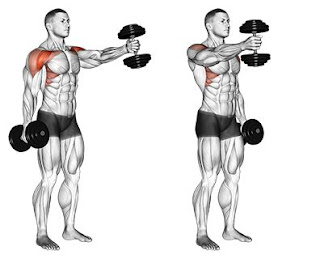 Front Raises Top 5 Exercises For Building 3D Shoulders
