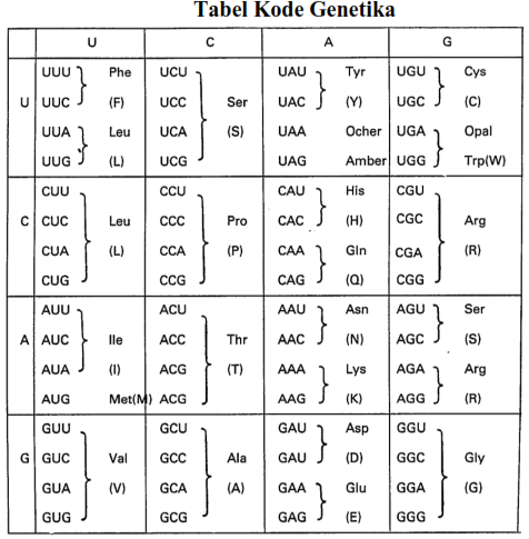 Soal Osk Biologi 2017 Juara Pendidikan