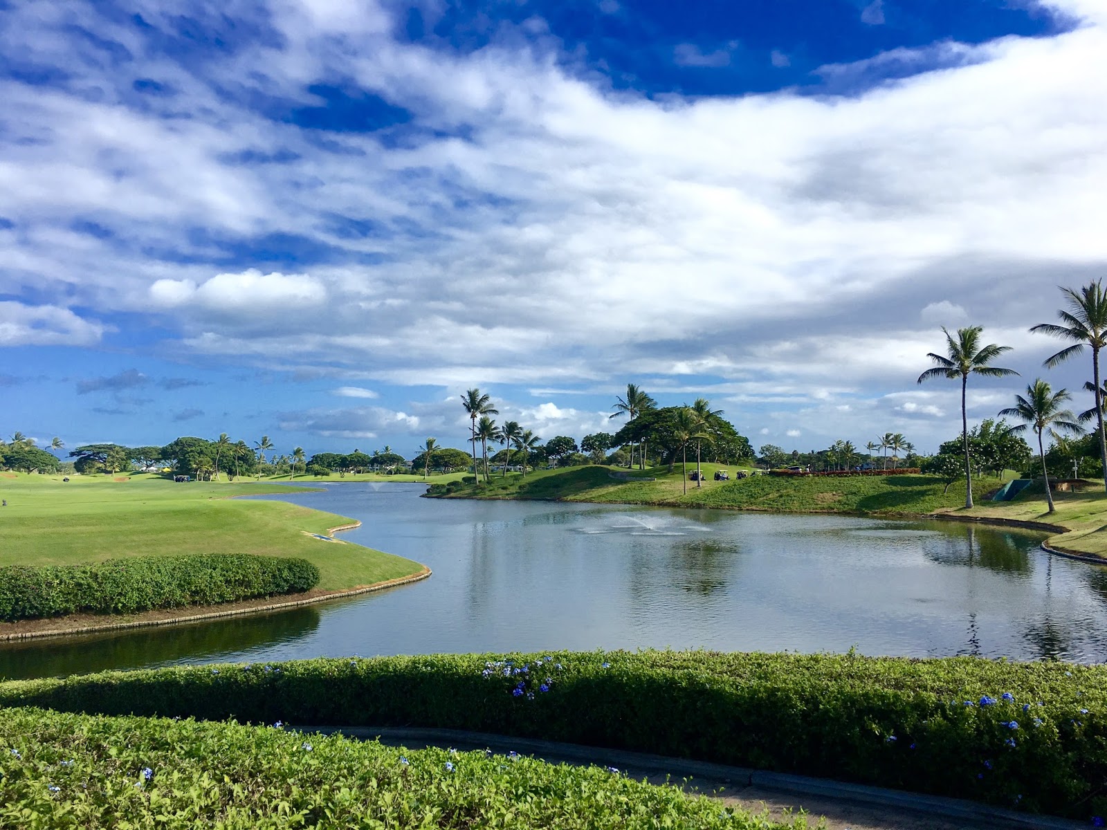 TASTE OF HAWAII WEBCO GOLF TOURNAMENT