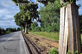 Friedrich Ludwig Jahn Grundschule Luckenwalde Kurzinfo