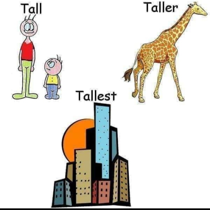 Girl can't reach top shelf. Tall people. Too enough правило. Taller enough. Прилагательные too enough.