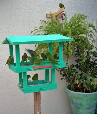 Ter um comedouro para pássaros em seu jardim é uma ótima alternativa para começar uma vida sustentável e ecologicamente correta.