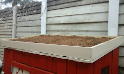 coop chicken paint dirt looked filled finished