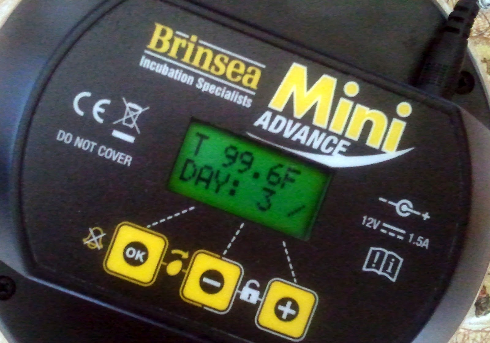 Let's Hatch Chicks! A DaybyDay Egg Hatching Tutorial Fresh Eggs