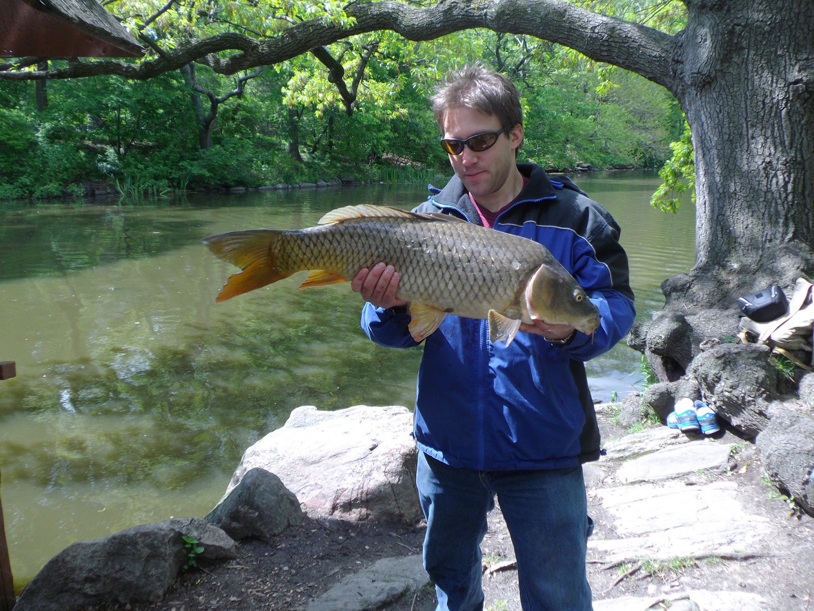 The Great Lakes of NYC Central Park carp fishing Trifecta