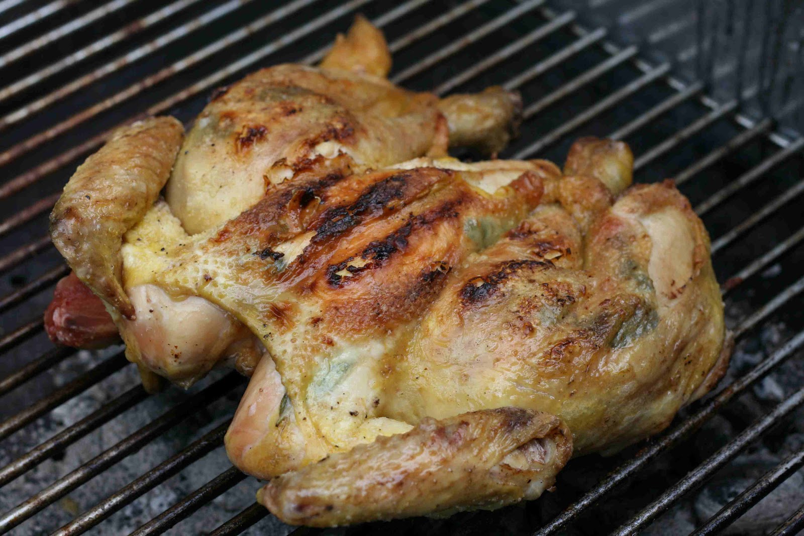 bushcooks kitchen: Da bist&amp;#39;e platt: gegrilltes Salbeihuhn mit Pommes ...