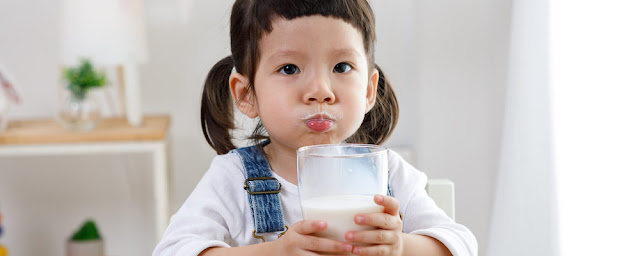 anak usia 1-3 tahun minum susu formula
