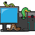 What Is Computer Worms? Definition And More