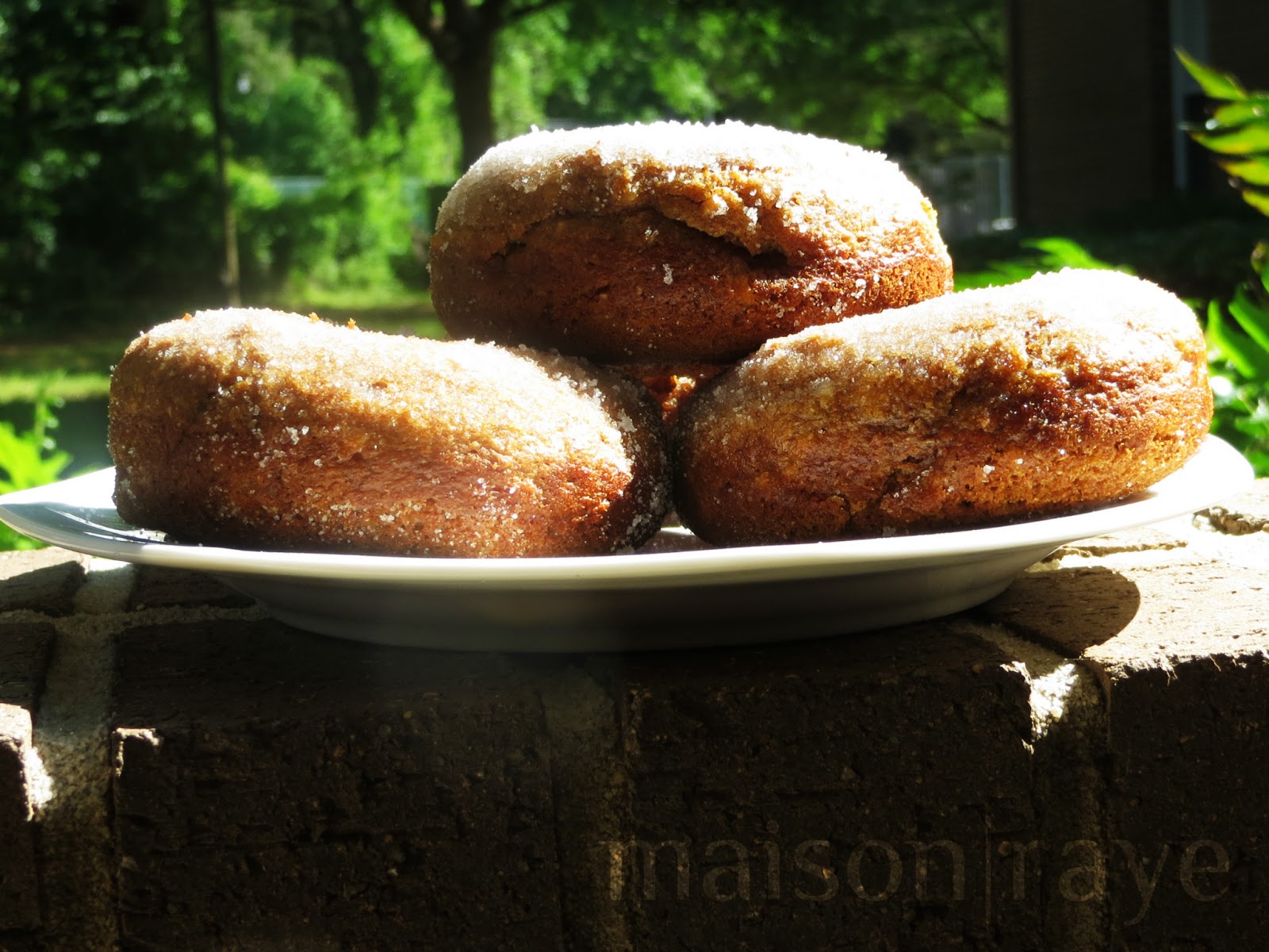 maisonraye Molasses Doughnuts (Baked!)