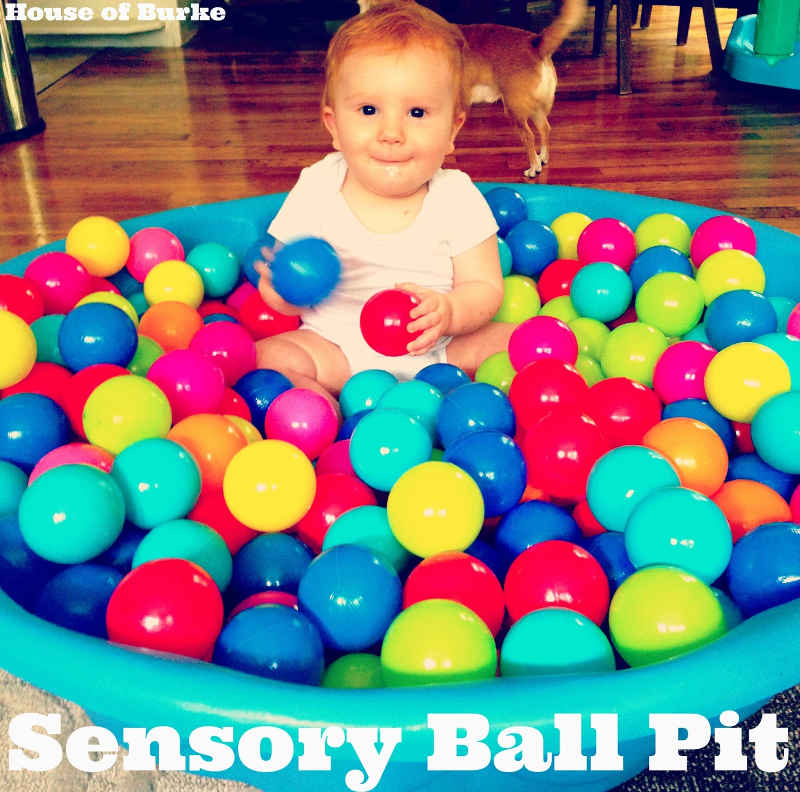 childrens sensory ball house
