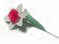 Paper Daffodil Tutorial