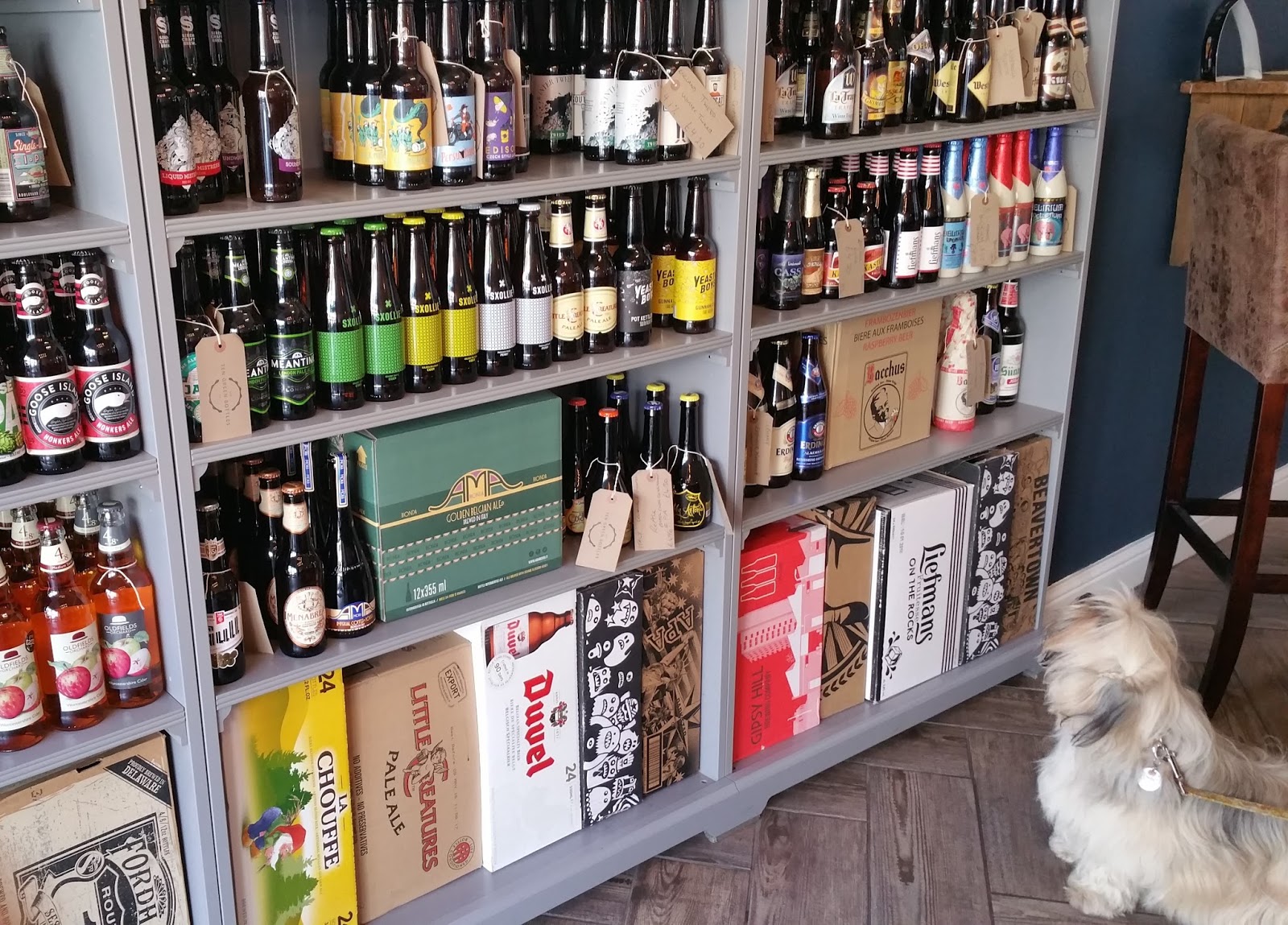 The Ten Green Bottles NewcastleunderLyme Staffordshire Paws