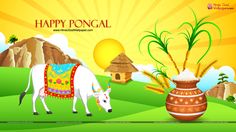happy pongal