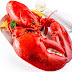 Indonesia Lobster Lifespan Immortality Myth