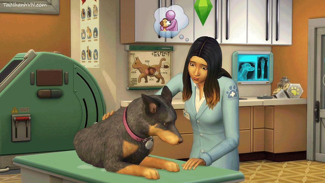 the sims 4 all dlc cats and dogs the sims 4 all dlc cats and dogs