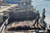 Bea Cukai Batam Gagalkan Penyelundupan 10.810 Batang Kayu Teki di Perairan Pulau Jaloh Atas