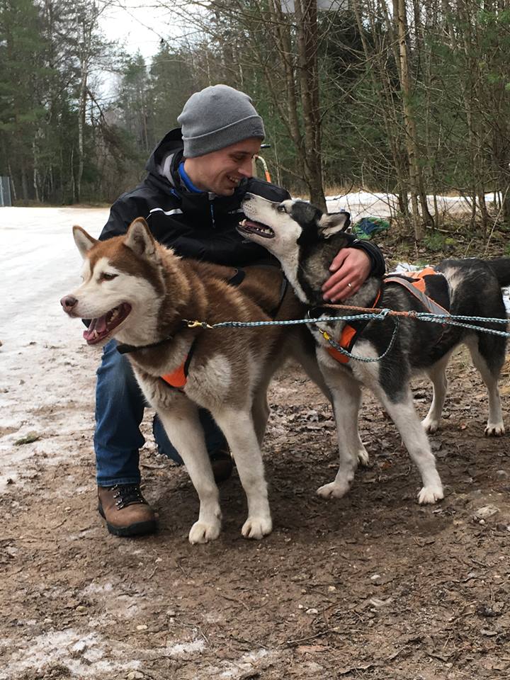 Ethical Dog Sledding Tours in Riga, Latvia