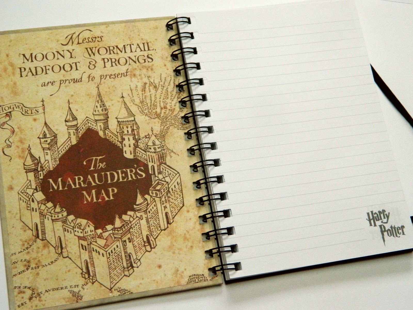 Harry Potter Notebooks From Poundland Raiin Monkey