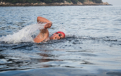 Image of a man swimming freestyle in open water