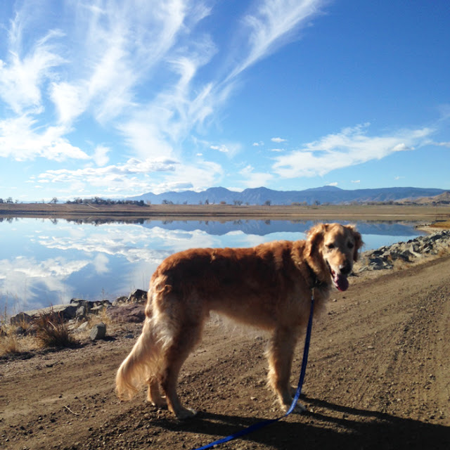 Lagerman Reservoir | Longmont 100: Things to do in Longmont, Colorado