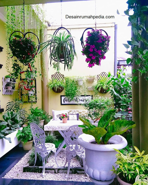 Teras Sejuk dan Segar dengan 6 Pilihan Tanaman Gantung