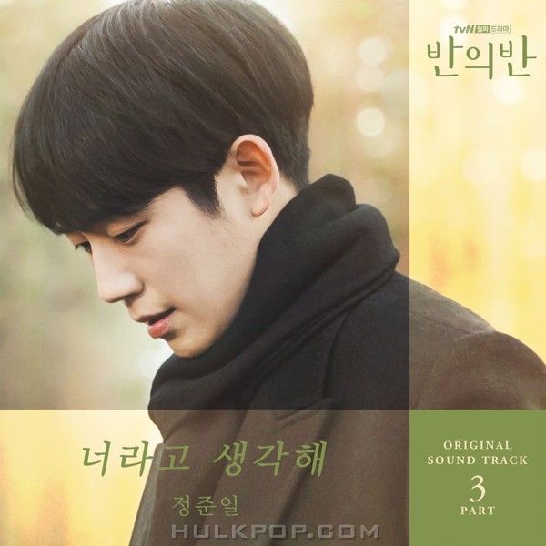 Jung Joonil- A Piece of Your Mind OST Part 3