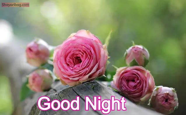Good Night With Flowers Good Night With Flowers