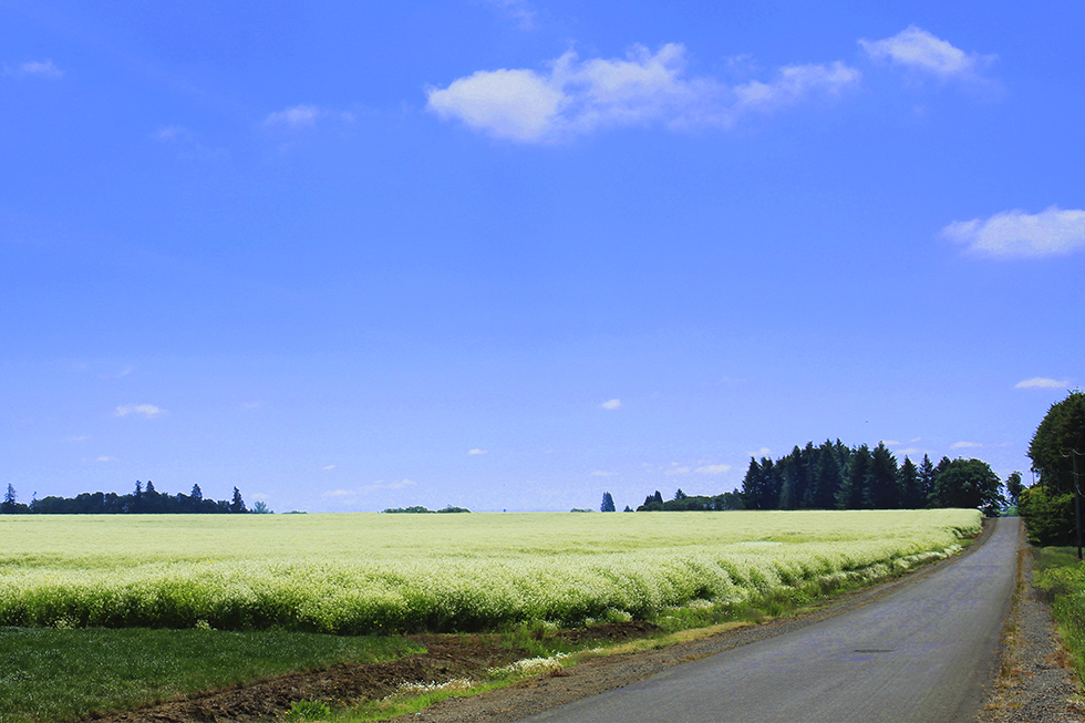 Photographing Oregon Farms