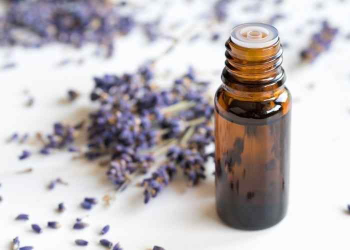 The Best Essential Oils for Sinus Headache Everything Pretty