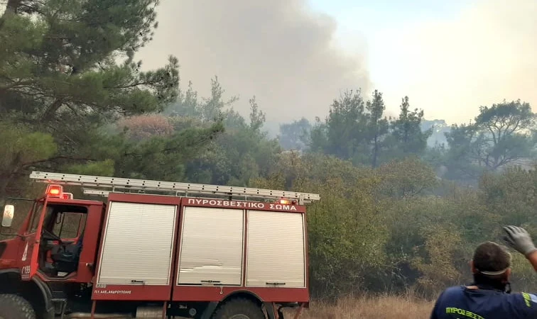 ΚΚΕ Έβρου: Κίνδυνος πυρκαγιών στον Έβρο - Υποστελεχωμένες οι Υπηρεσίες - Να ληφθούν μέτρα αντιπυρικής προστασίας