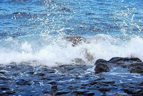 Anima Mundi Alta marea