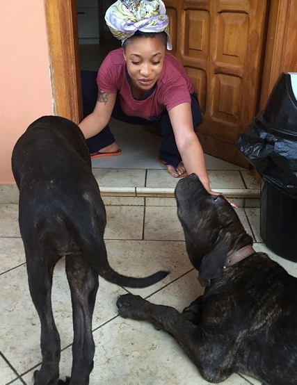 tonto dikeh husband robbed