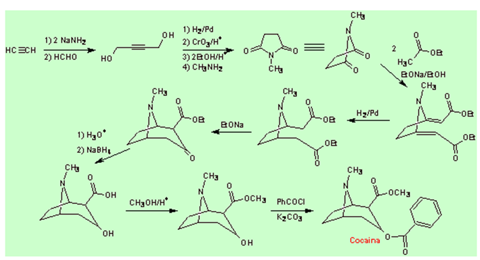 Mecanismo De Acción De La Cocaína eisc-education.blogspot.com