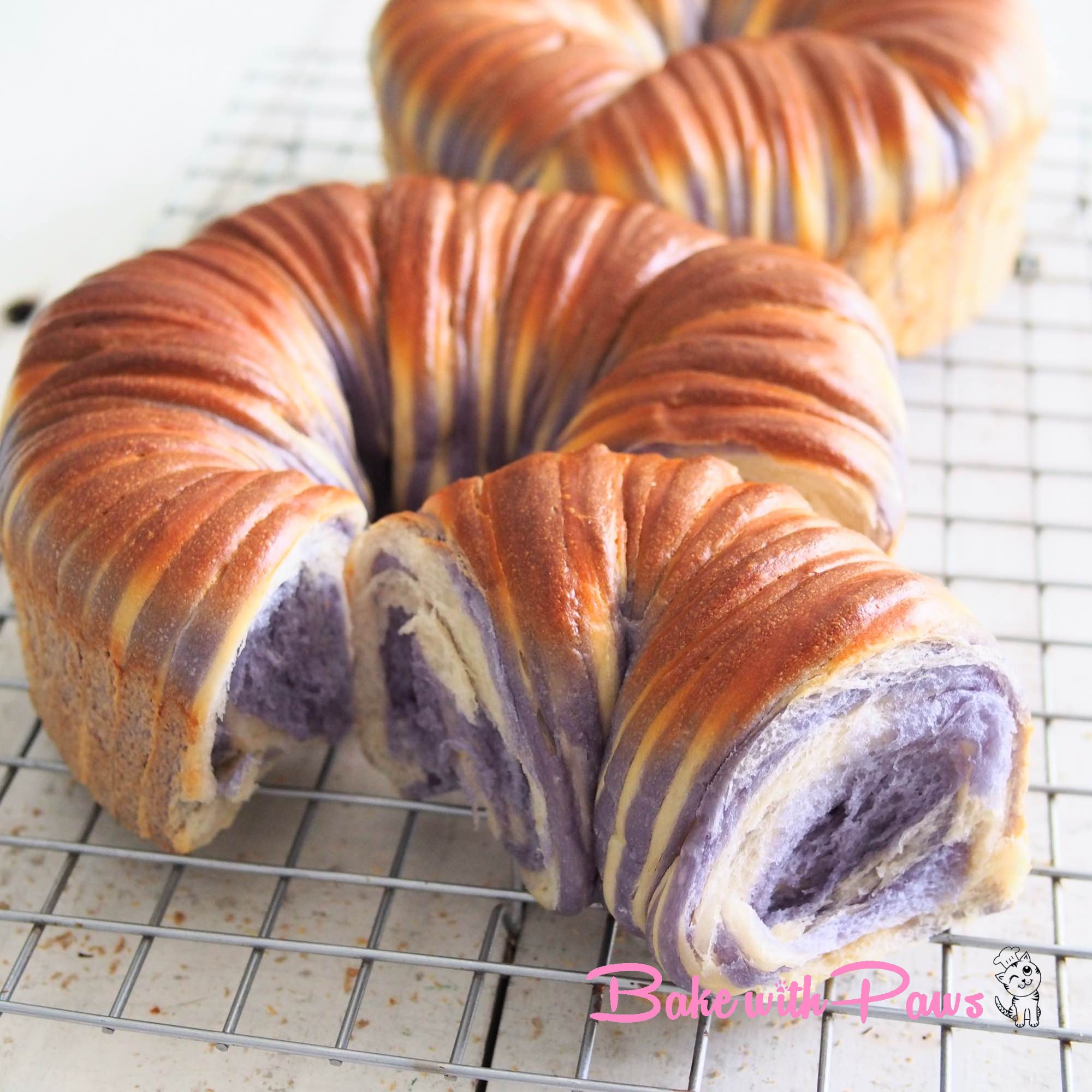 Sourdough Butterfly Pea Flower Wool Roll Bread - BAKE WITH PAWS