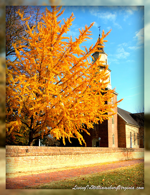 Living In Williamsburg, Virginia: The Gold Of Fall, Williamsburg, Virginia