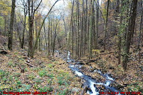 Amicalola Creek in Leaf Watch time