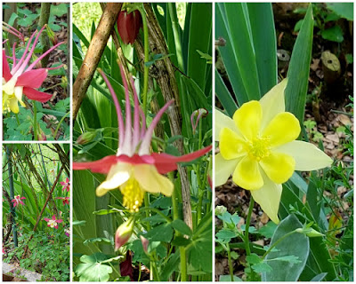 Nunu S Garn Und Stofflabor Ein Bunter Blumengruss Am Montag