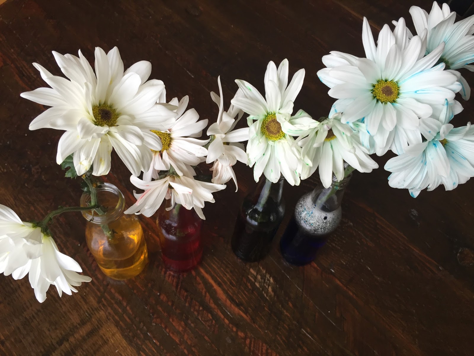 Relentlessly Fun, Deceptively Educational How Plants