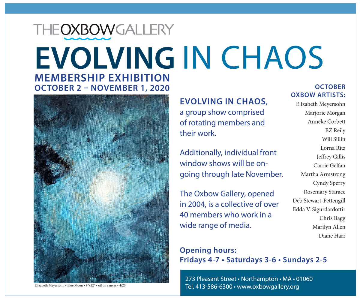 Evolving in Chaos at The Oxbow Gallery Northampton MA Cultural District