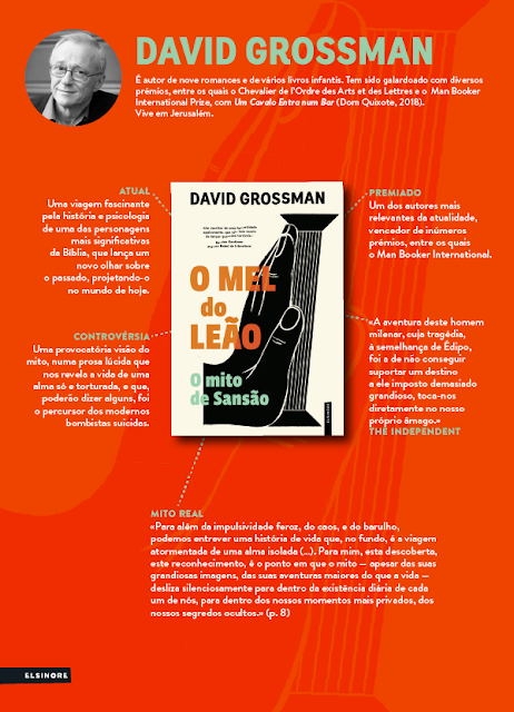 Do israelita David Grossman, um dos autores mais relevantes da atualidade, O Mel do Leão é uma viagem fascinante e controversa pela história e psicologia de uma das personagens mais significativas da Bíblia, que lança um novo olhar sobre o passado, projetando-o no mundo de hoje.