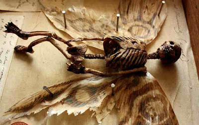 Παράξενα πλάσματα βρέθηκαν σε αρχοντικό στο Λονδίνο [φωτό]  